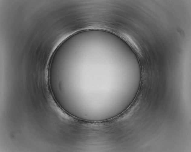X0000111490900200907141101