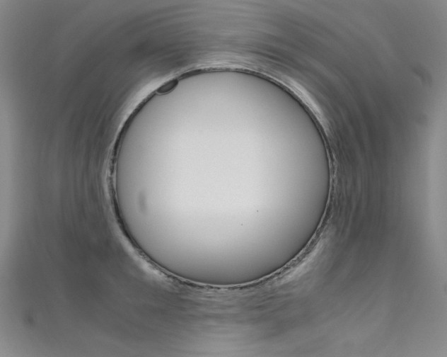 X0000111490901200907141101