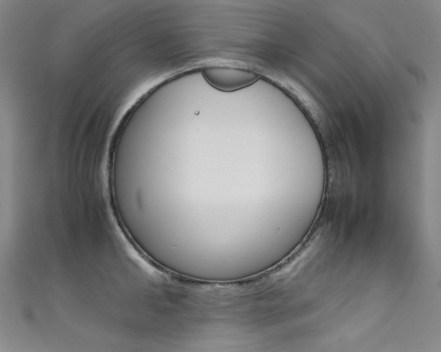 X0000111490902200907141101