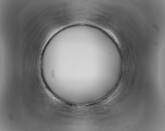 X0000111490903200907141101