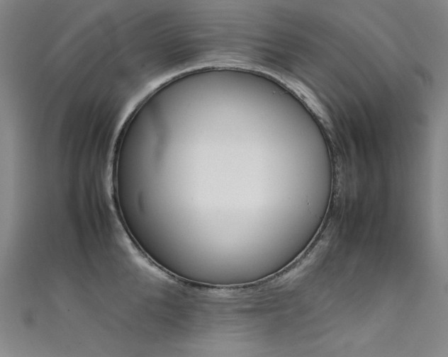 X0000111490904200907141101