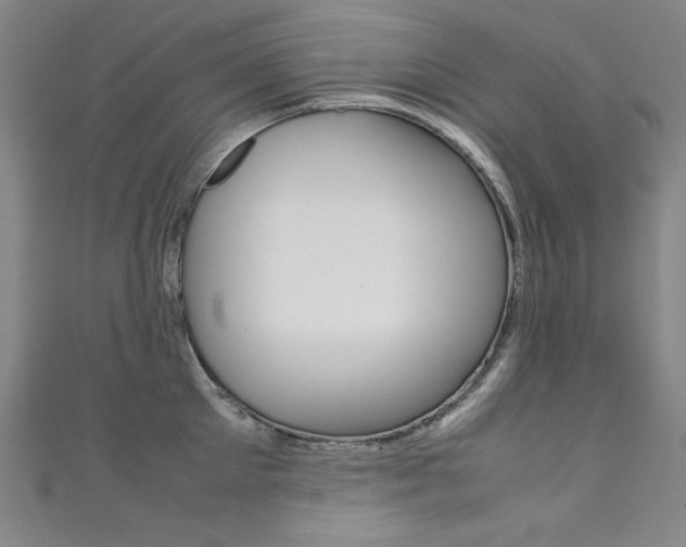 X0000111490905200907141101