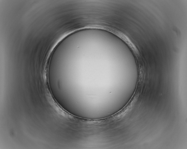 X0000111490908200907141100