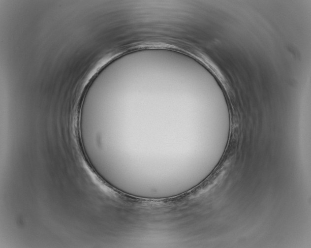 X0000111490909200907141100