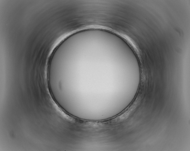 X0000111490910200907141100