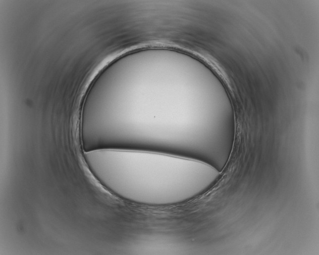 X0000111490911200907141100