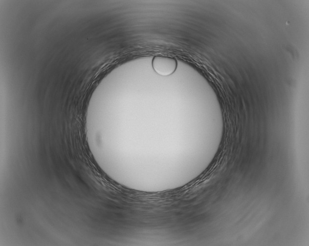 X0000111490916200907141100