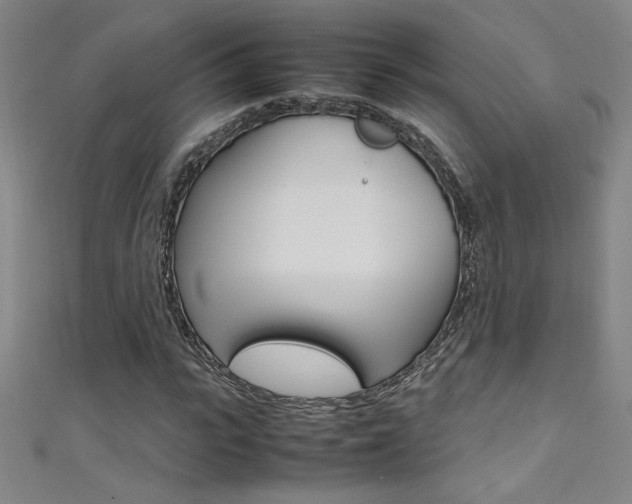 X0000111490919200907141100
