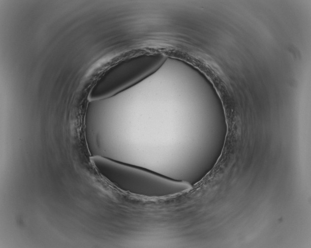 X0000111490920200907141100