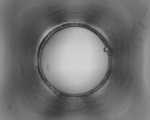 X0000111490927200907141100