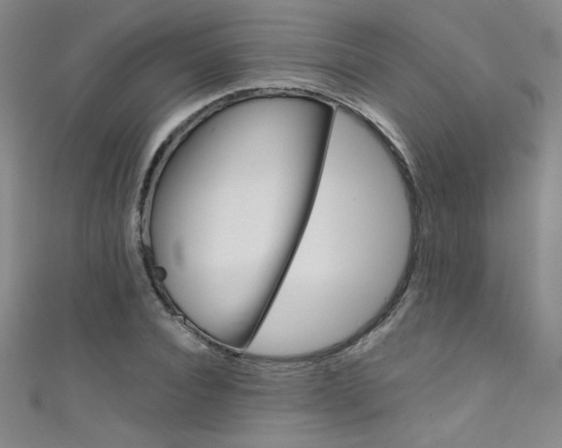 X0000111490928200907141100