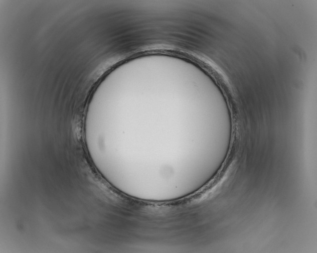 X0000111490929200907141100