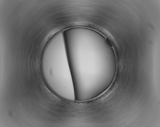 X0000111490930200907141100