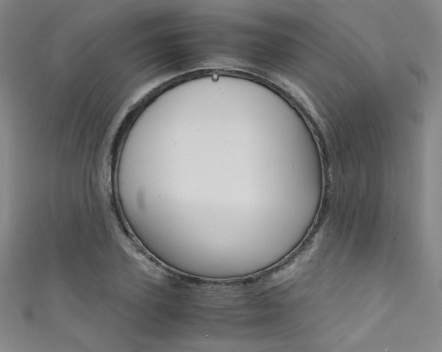X0000111490931200907141100