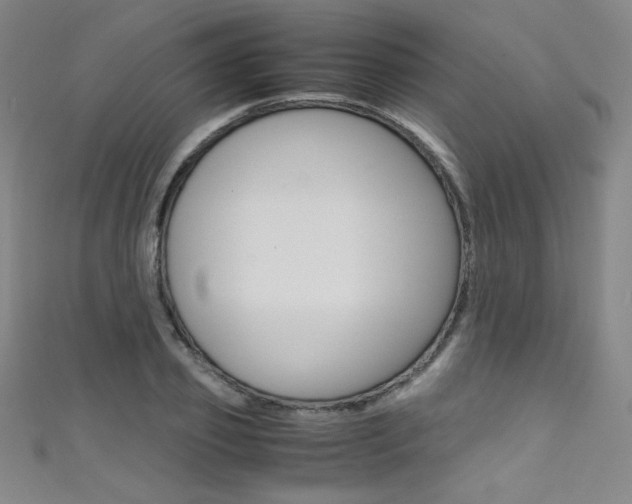 X0000111490933200907141100
