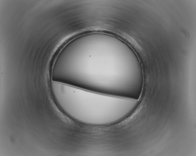 X0000111490934200907141100
