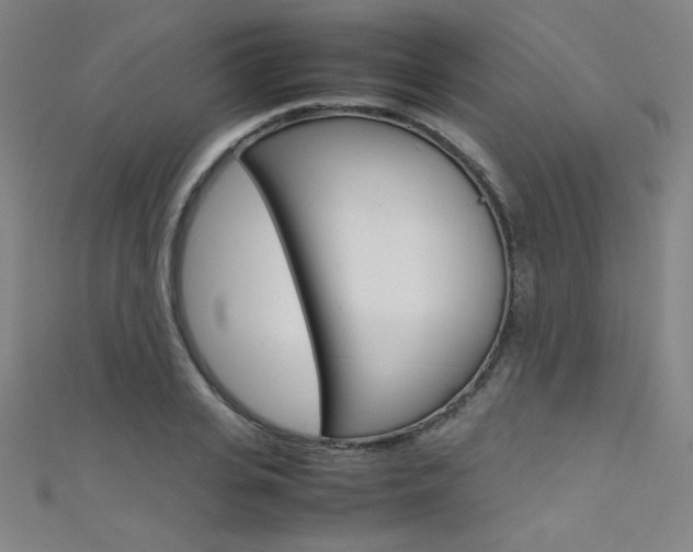 X0000111490935200907141100