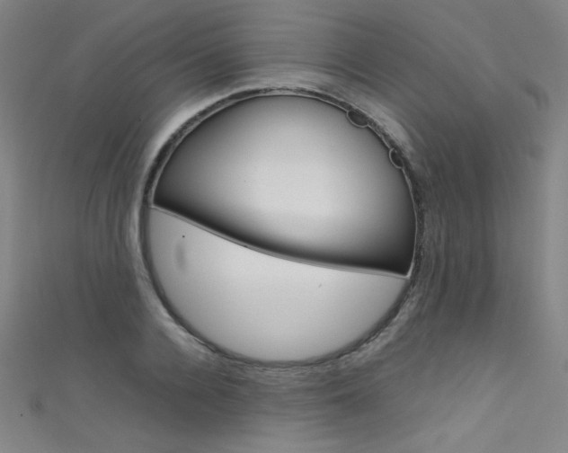 X0000111490936200907141100