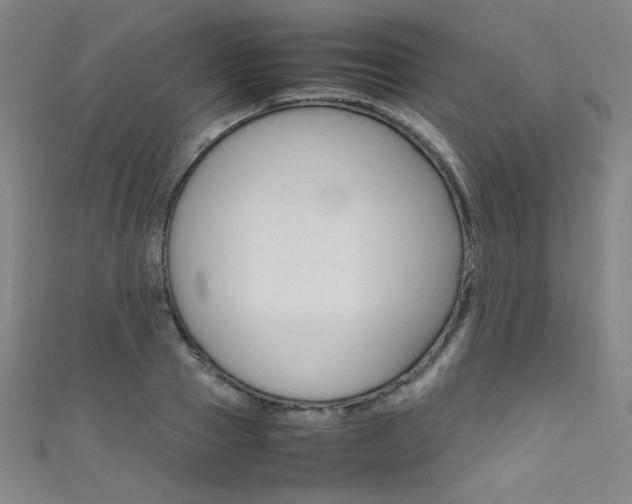 X0000111490937200907141100