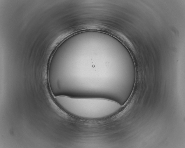 X0000111490938200907141100