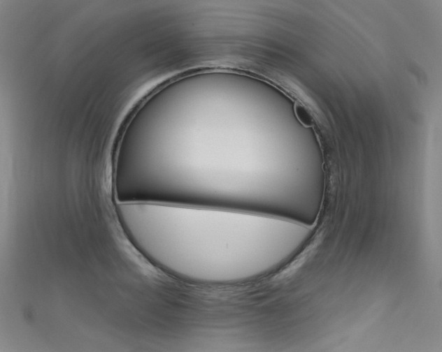 X0000111490940200907141100