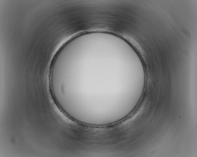 X0000111490941200907141100