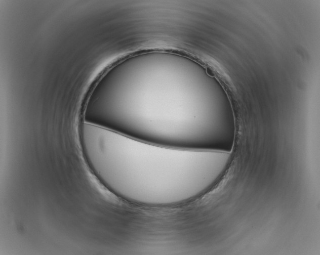 X0000111490942200907141100