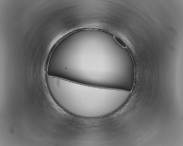 X0000111490944200907141100