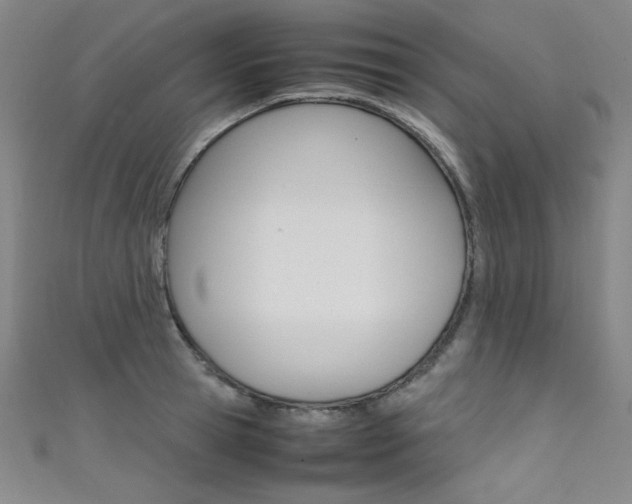 X0000111490945200907141100