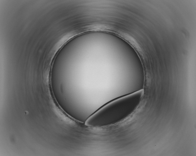 X0000111490946200907141100