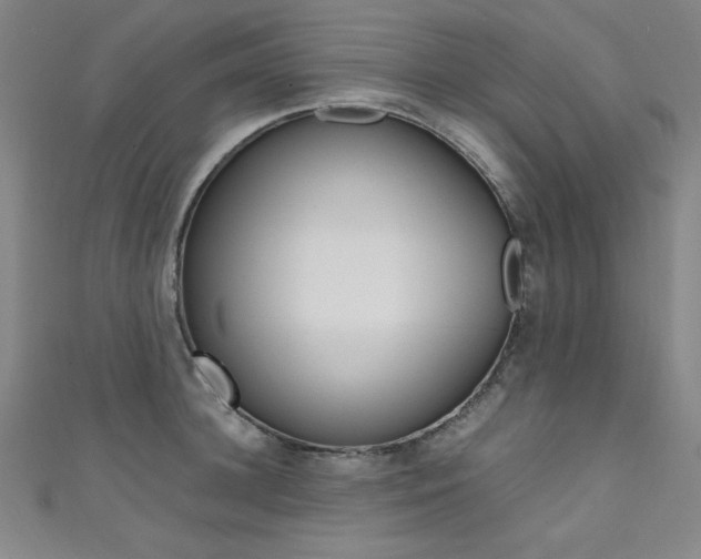 X0000111490948200907141100
