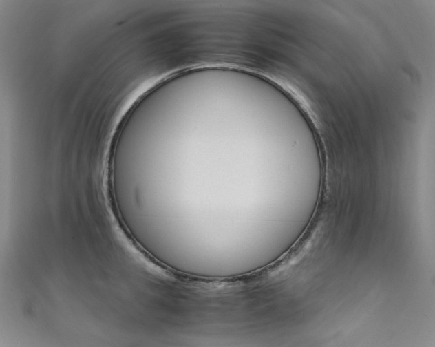 X0000111490949200907141100