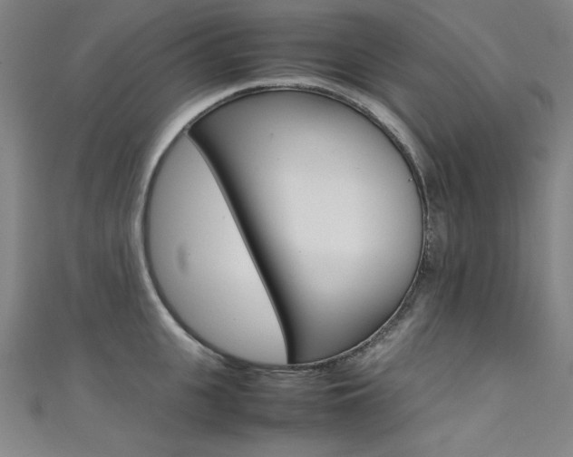 X0000111490951200907141100
