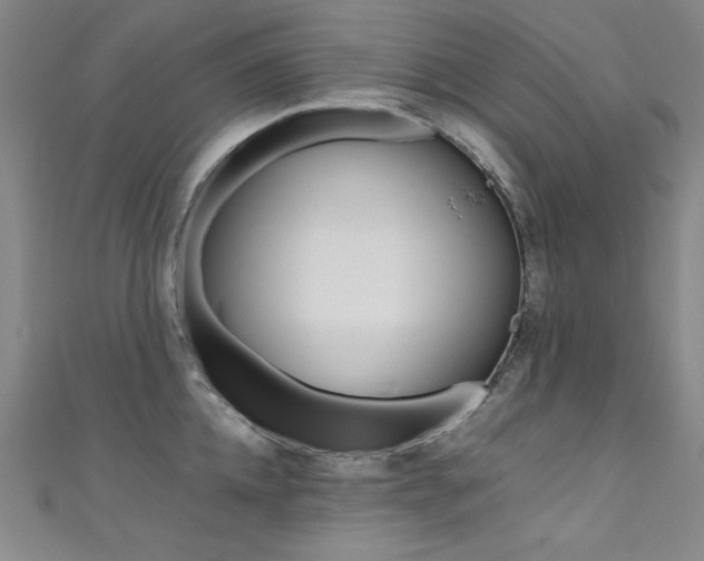 X0000111490952200907141100