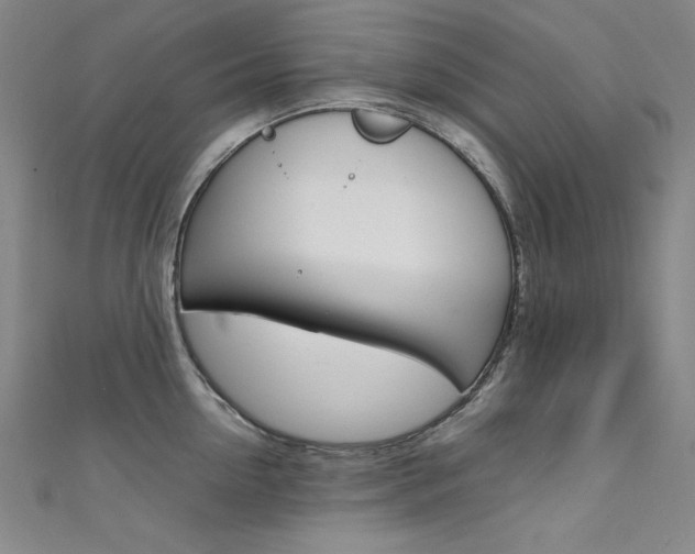 X0000111490954200907141100