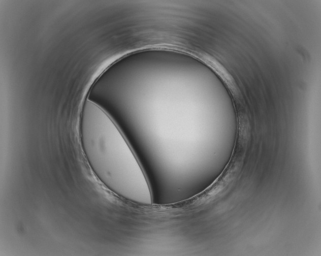 X0000111490956200907141100