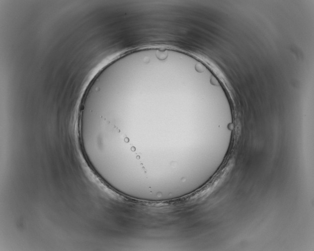 X0000111490957200907141100
