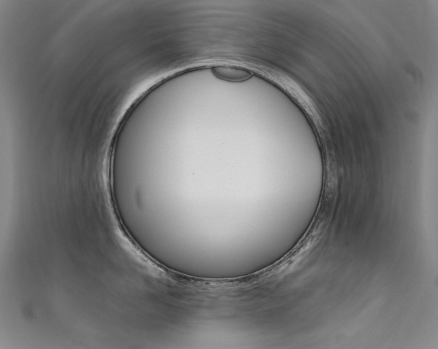 X0000111490958200907141100