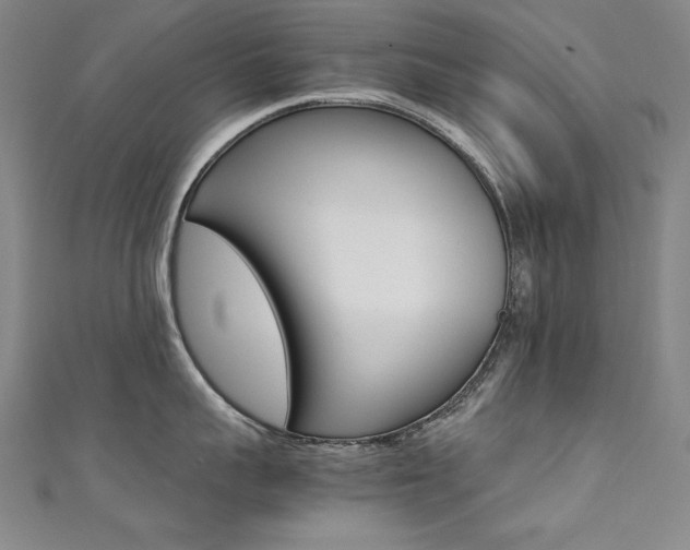 X0000111490959200907141100