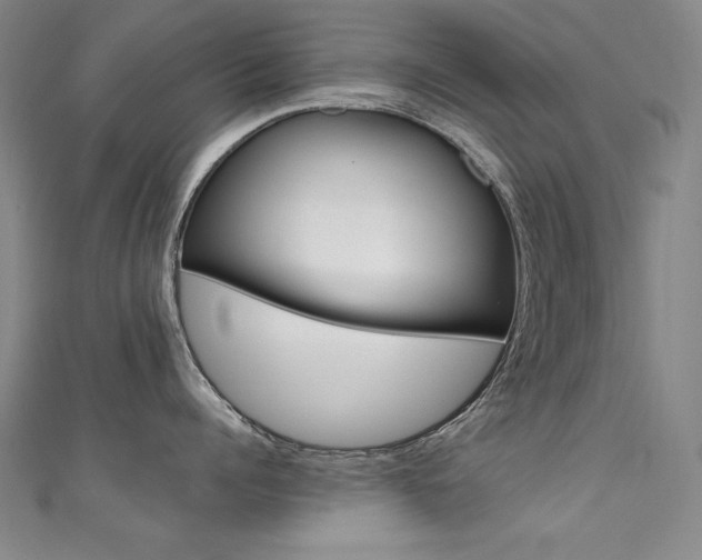 X0000111490960200907141100
