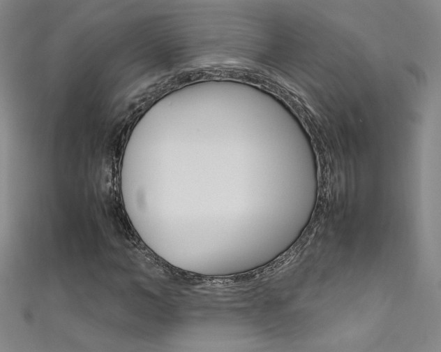 X0000111490966200907141100