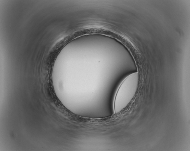 X0000111490967200907141100