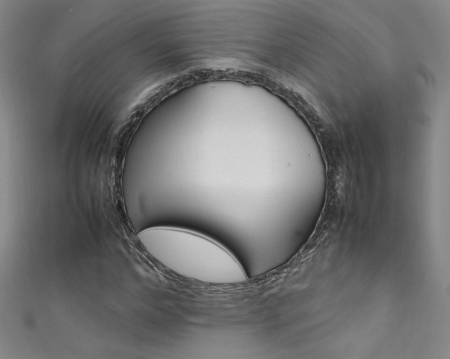 X0000111490968200907141100