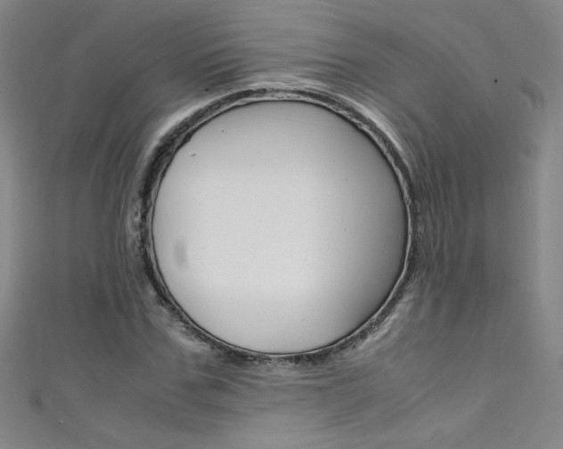 X0000111490971200907141100