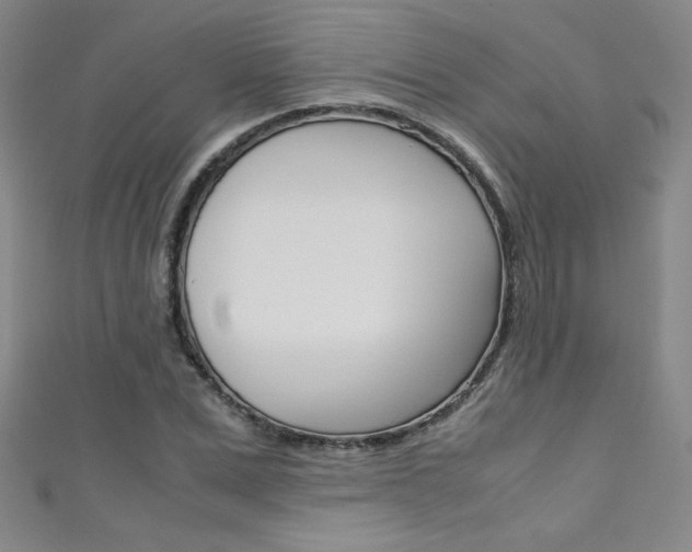 X0000111490975200907141100