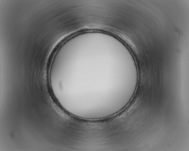 X0000111490976200907141100