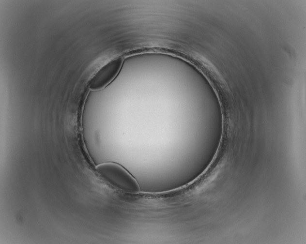X0000111490977200907141100