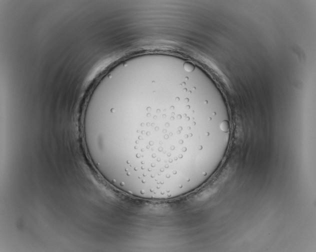 X0000111490978200907141100