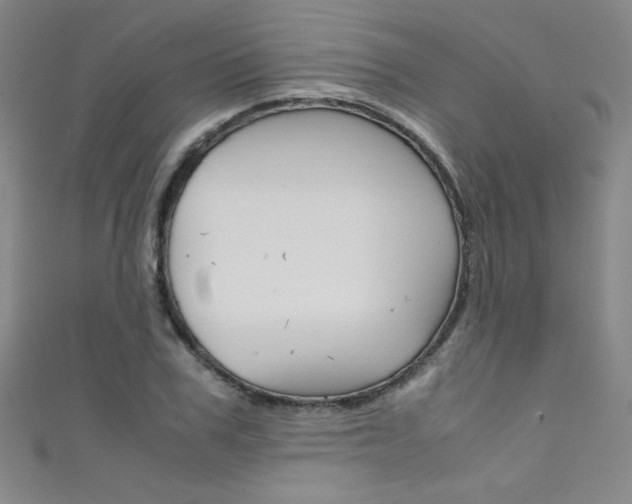 X0000111490979200907141100