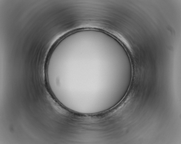 X0000111490980200907141059